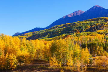 Naklejka premium Autumn in Colorado
