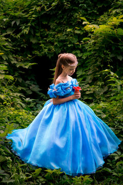 Beautiful little girl in a feiry princes dress