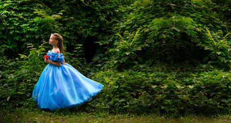 Beautiful little girl in a feiry princes dress