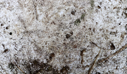 Abstract dark cracked white texture