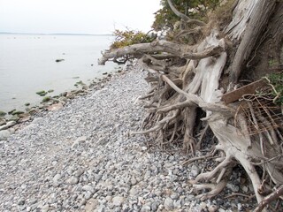 white chalk cliffs at rugen coast in gernany