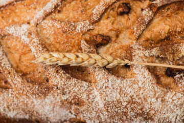 close up view of fresh baked bread loaf with spikelet