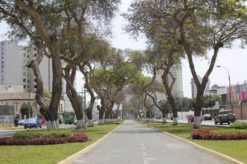 Avenida Salaverry in Lima, Perú