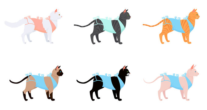 cat in bandage after surgery set. cartoon cats different breeds after neutering isolated on white