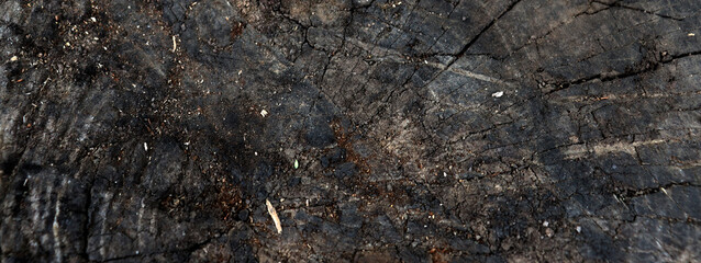 Old cracked wooden texture for banner