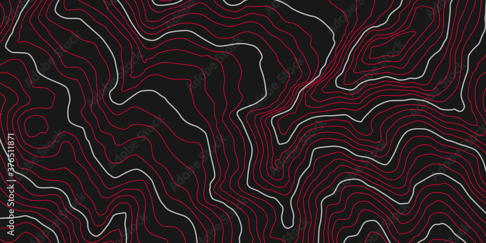 Poster the stylized height map, topographic contour in lines. concept of a conditional geography scheme & t
