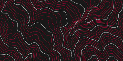 The stylized height map, topographic contour in lines. Concept of a conditional geography scheme & the terrain path. Abstract geometric form. Template, pattern. Design materilal. Vector illustration.