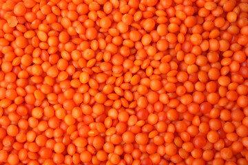 Red lentil, for backgrounds or textures