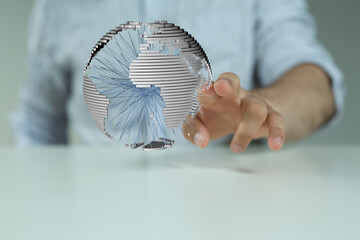 global network and world wide network