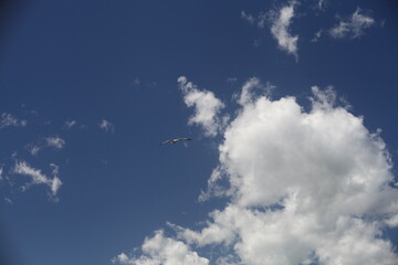 blue sky with clouds