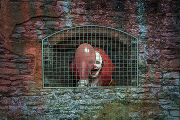 scary clown with a red balloon caged behind a lattice
