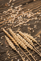 wheat spikelets on wooden rustic brown surface