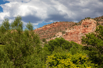 Fototapeta na wymiar Landscape in Verde Valley Arizona with mountains and trees and clouds