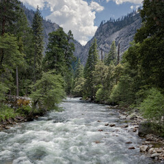 Yosemite Merced River 08
