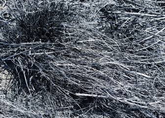 Черная сгоревшая трава