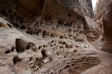 Slot Canyon with unique textures along the wall