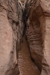 Muddy water in a slot canyon flash flood