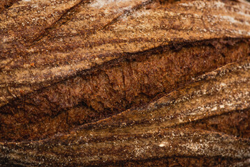 close up view of fresh baked bread crust