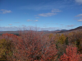 Fototapeta premium fall autumn foliage with hills in the distance