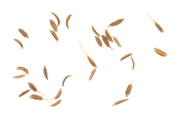 Dried caraway seeds isolated on a white background, top view. Cumin seeds.