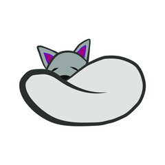 
sleeping cat