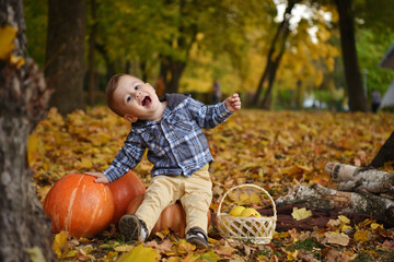 Little boy enjoying harvest festival celebration at pumpkin patch. Child near giant pumpkin....
