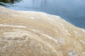 dirty foam in the water of the river near the bank