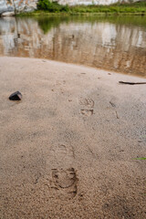 footprints in the sand, wet sand on the river Bank