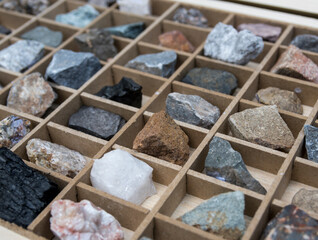 rocks and minerals in a box