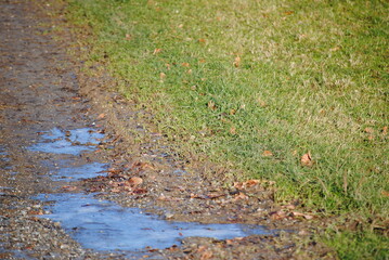 pfütze am naturpfad neben feld
