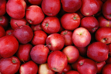 many perfect red apples for food textures