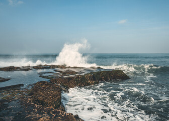 Wilde Natur am Tanah Lot Tempel Indonesien