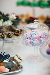 Pink and blue marshmallow in the glassware on the table, front view of sweets on the candy buffet, desserts in the restaurant on the wedding day, tasty sweets bar on the birthday party