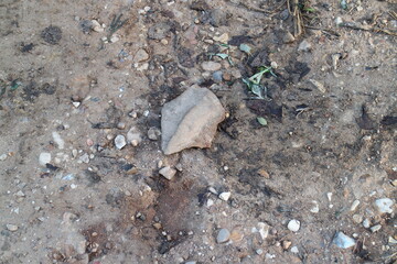 stones on the village road in summer in the village