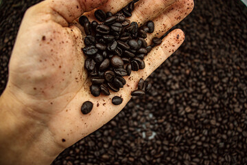 café, braun, feijão, cafeína, café, beber, assar, mão, feijão, chávena, aroma, café expresso, alimento, negro, mão, escuro, coração, porca, mantendo, café da manhã, isolado, branco, pilha, colheita