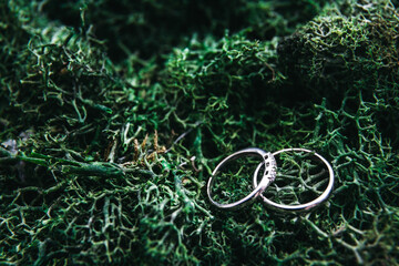 Close up od valuable silver wedding  band, engagement ring with gem on green moss. Tender traditional bridal symbols. Beautiful wedding accessory for newlyweds. Concept of obligation and formality.