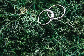 Close up of precious wedding and engagement ring with diamonds on green moss. Tender traditional bridal symbols for couple. Beautiful wedding accessory for bride. Concept of faith and eternal love.