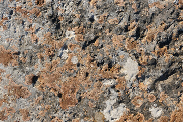Rusty metal texture.
Rusty metal background closeup. High resolution photo.
