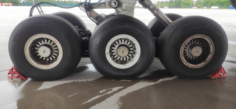 The main landing gear of the aircraft.