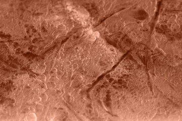 putty bright on the wall background image