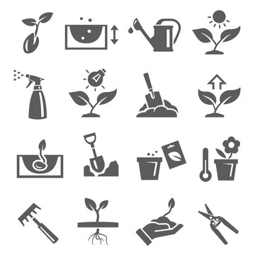 Gardening, plants growing bold black silhouette icons set isolated on white. Pomiculture, orcharding.