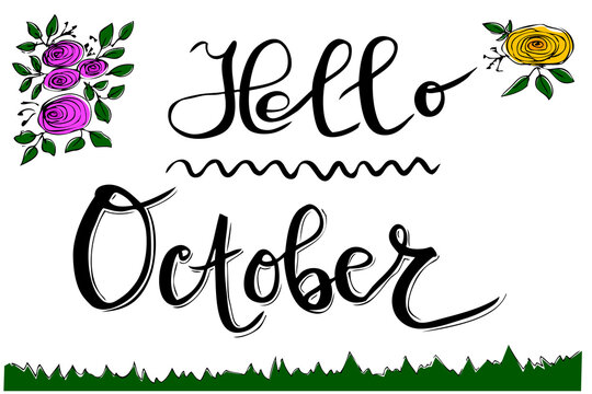 Vector Manual Hand Draw Sketch Lettering, Hello Octorber, with flower leaf, and grass