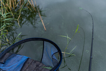 Podbierak wędkarski nad jeziorem © angel000