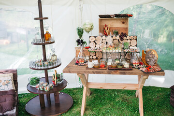 Full view of wooden table with appetizers and salty snacks, sauces, salads. Tasty buffet, preparing for wedding celebration at backyard patio. Tiny smorgasbord at party. Concept of delicious food.