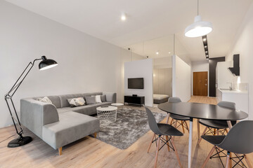 Modern and stylish apartment