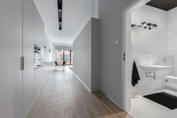 Stylish apartment corridor and bathroom