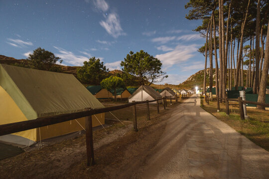 Camino por la noche, con luna llena, de un camping con &aacute;rboles 
