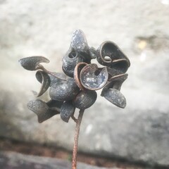 christmas tree decoration