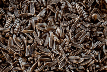 super macro shot of exotic spice black cumin from Indiain details very close. Ideal food and spice background