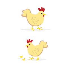cute hen and chick illustration vector isolated on white background